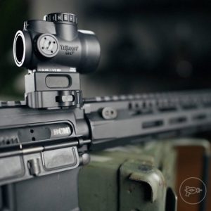 Trijicon MRO view 2
