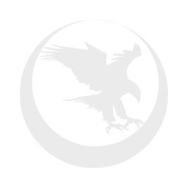 Nighthawk Custom Predator 2026 Edition 9mm